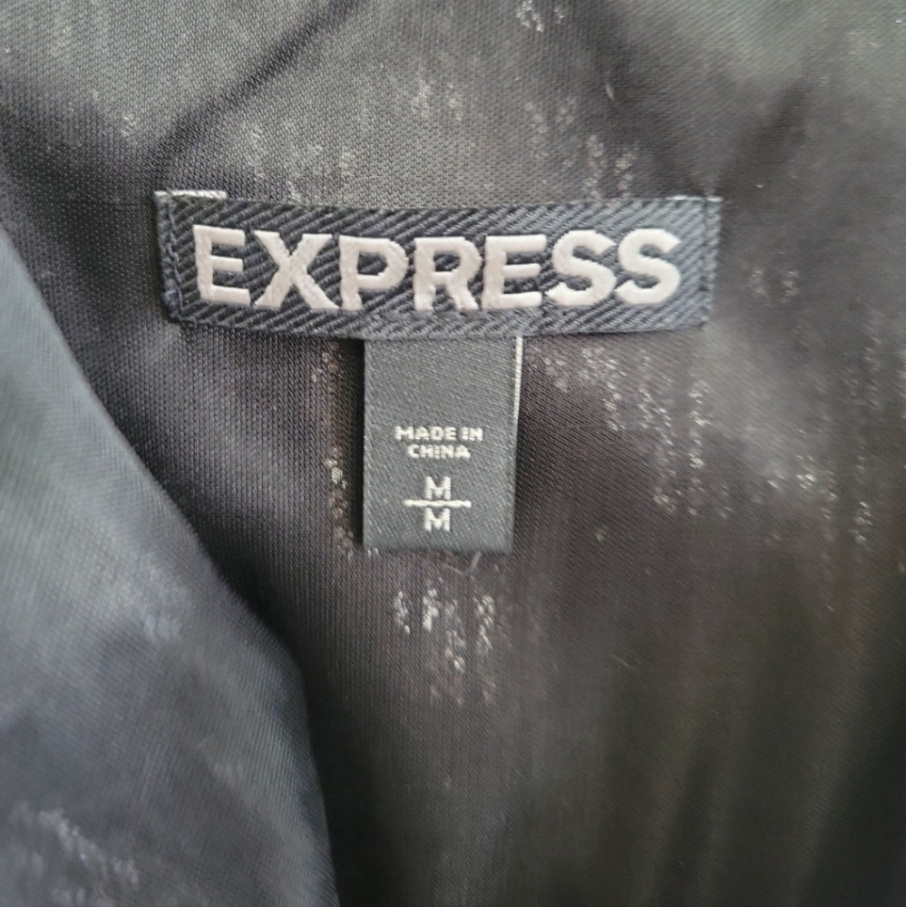 Express Sequin (Disco Ball) Dress View 3